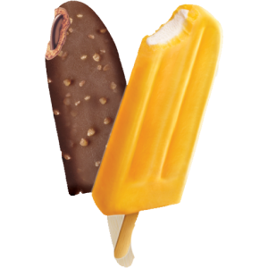 Fruit Bars